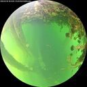 ./images/calvert/underwater/20260530/underwater20260530_181501M.jpg