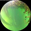 ./images/calvert/underwater/20260530/underwater20260530_182001M.jpg