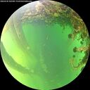 ./images/calvert/underwater/20260530/underwater20260530_182501M.jpg