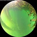 ./images/calvert/underwater/20260530/underwater20260530_183001M.jpg