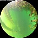 ./images/calvert/underwater/20260530/underwater20260530_184001M.jpg