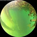 ./images/calvert/underwater/20260530/underwater20260530_184501M.jpg