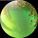 ./images/calvert/underwater/20260530/underwater20260530_185001M.jpg