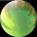 ./images/calvert/underwater/20260530/underwater20260530_191501M.jpg