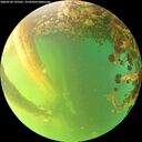 ./images/calvert/underwater/20260530/underwater20260530_193501M.jpg