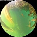 ./images/calvert/underwater/20260530/underwater20260530_195501M.jpg