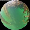 ./images/calvert/underwater/20260530/underwater20260530_201001M.jpg