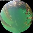 ./images/calvert/underwater/20260530/underwater20260530_201502M.jpg
