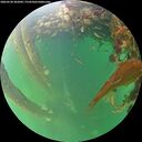 ./images/calvert/underwater/20260530/underwater20260530_202001M.jpg