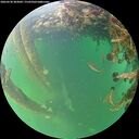./images/calvert/underwater/20260530/underwater20260530_203002M.jpg