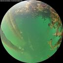 ./images/calvert/underwater/20260530/underwater20260530_204001M.jpg