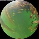 ./images/calvert/underwater/20260530/underwater20260530_205001M.jpg