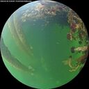 ./images/calvert/underwater/20260530/underwater20260530_210502M.jpg