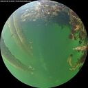 ./images/calvert/underwater/20260530/underwater20260530_211002M.jpg