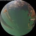 ./images/calvert/underwater/20260530/underwater20260530_214501M.jpg