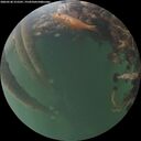 ./images/calvert/underwater/20260530/underwater20260530_215501M.jpg