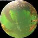 ./images/calvert/underwater/20260531/underwater20260531_065501M.jpg