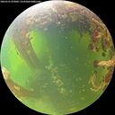 ./images/calvert/underwater/20260531/underwater20260531_073001M.jpg