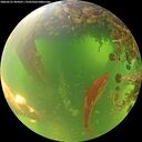 ./images/calvert/underwater/20260531/underwater20260531_094501M.jpg