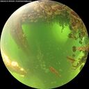 ./images/calvert/underwater/20260531/underwater20260531_095501M.jpg