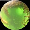 ./images/calvert/underwater/20260531/underwater20260531_103001M.jpg