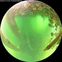 ./images/calvert/underwater/20260531/underwater20260531_111501M.jpg