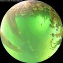 ./images/calvert/underwater/20260531/underwater20260531_112001M.jpg
