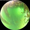./images/calvert/underwater/20260531/underwater20260531_113002M.jpg