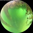 ./images/calvert/underwater/20260531/underwater20260531_114001M.jpg
