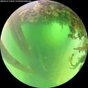 ./images/calvert/underwater/20260531/underwater20260531_114501M.jpg
