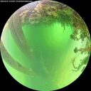 ./images/calvert/underwater/20260531/underwater20260531_115502M.jpg