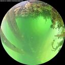./images/calvert/underwater/20260531/underwater20260531_120001M.jpg