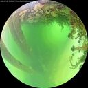 ./images/calvert/underwater/20260531/underwater20260531_120501M.jpg