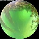 ./images/calvert/underwater/20260531/underwater20260531_121001M.jpg