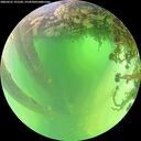 ./images/calvert/underwater/20260531/underwater20260531_121501M.jpg