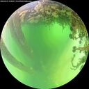 ./images/calvert/underwater/20260531/underwater20260531_122001M.jpg