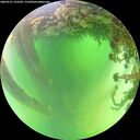 ./images/calvert/underwater/20260531/underwater20260531_122501M.jpg