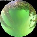./images/calvert/underwater/20260531/underwater20260531_125001M.jpg
