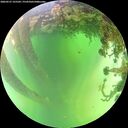 ./images/calvert/underwater/20260531/underwater20260531_125501M.jpg