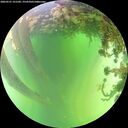 ./images/calvert/underwater/20260531/underwater20260531_131501M.jpg