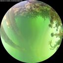 ./images/calvert/underwater/20260531/underwater20260531_132001M.jpg