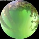 ./images/calvert/underwater/20260531/underwater20260531_133001M.jpg