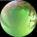 ./images/calvert/underwater/20260531/underwater20260531_134502M.jpg