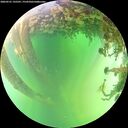 ./images/calvert/underwater/20260531/underwater20260531_135501M.jpg