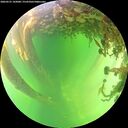 ./images/calvert/underwater/20260531/underwater20260531_142001M.jpg