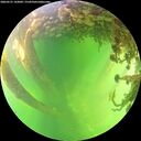 ./images/calvert/underwater/20260531/underwater20260531_143001M.jpg