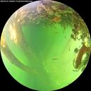 ./images/calvert/underwater/20260531/underwater20260531_144001M.jpg