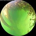 ./images/calvert/underwater/20260531/underwater20260531_145001M.jpg