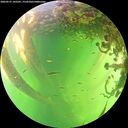 ./images/calvert/underwater/20260531/underwater20260531_145501M.jpg