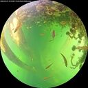 ./images/calvert/underwater/20260531/underwater20260531_151501M.jpg